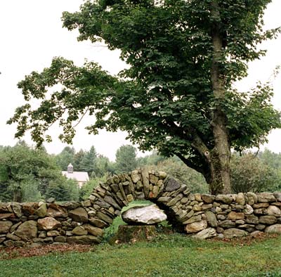 An arch in Ben Bowen's stone wall hops over an old tree stump topped with a white boulder.